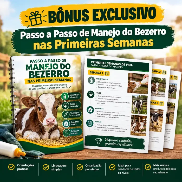 Passo a Passo de Manejo do Bezerro nas Primeiras Semanas